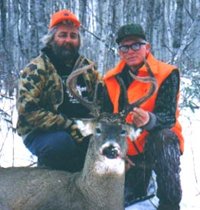 Archives of whitetail deer Photo