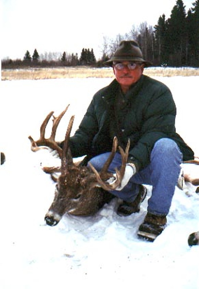 Archives of whitetail deer Photo