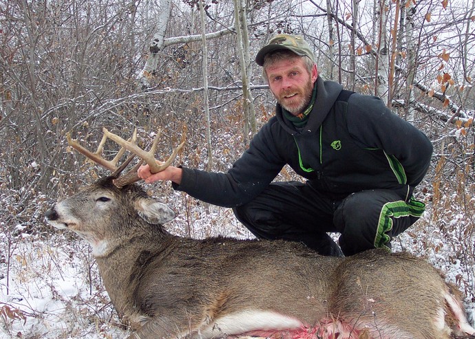 Archives of whitetail deer Photo