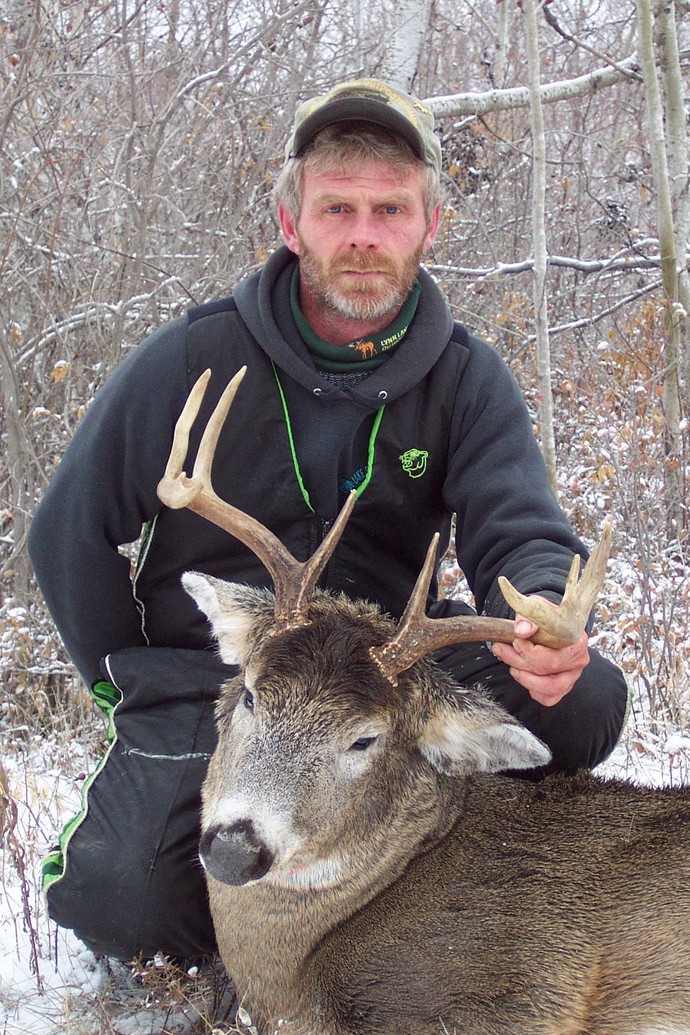 Archives of whitetail deer Photo