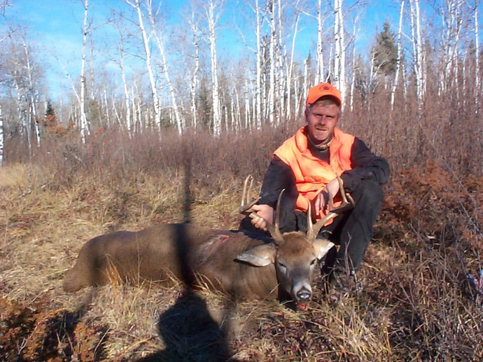 Archives of whitetail deer Photo