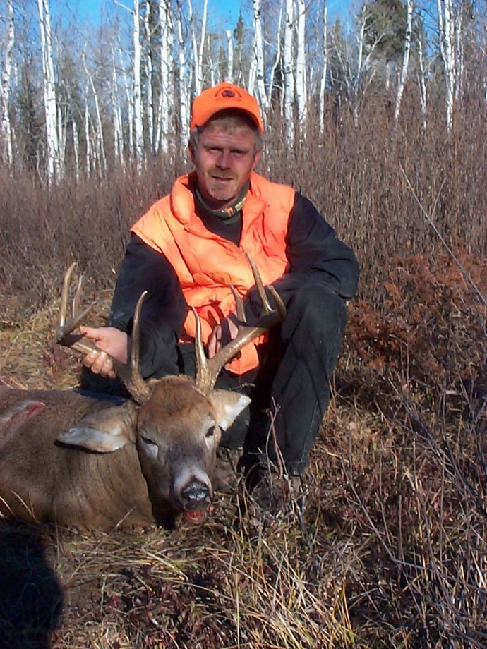 Archives of whitetail deer Photo