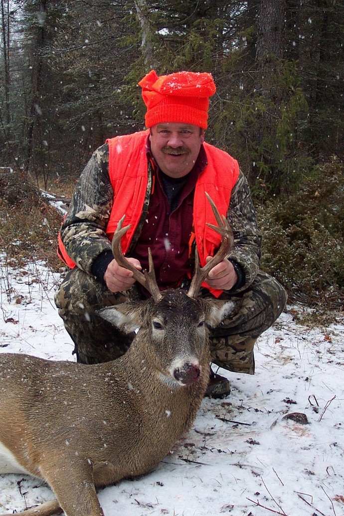 Archives of whitetail deer Photo