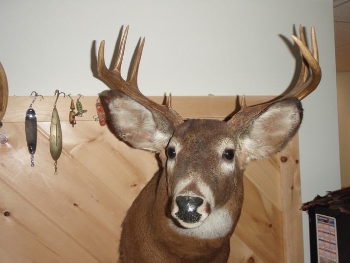 Trophy Whitetails recent years Photo