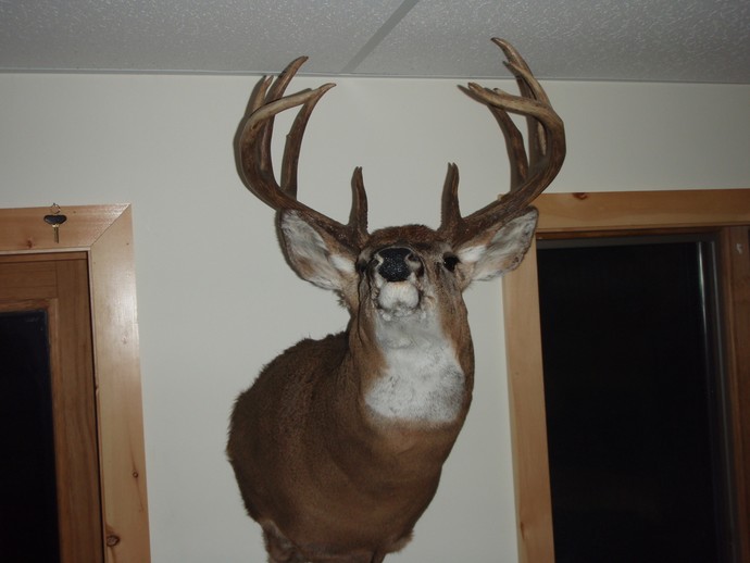 Trophy Whitetails recent years Photo