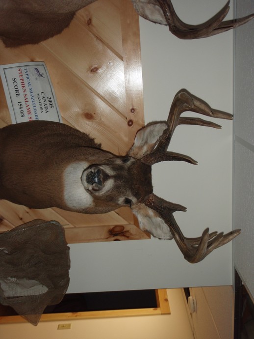 Trophy Whitetails recent years Photo