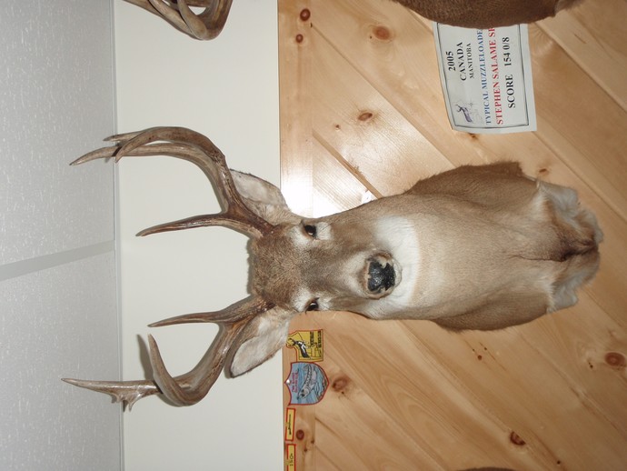 Trophy Whitetails recent years Photo