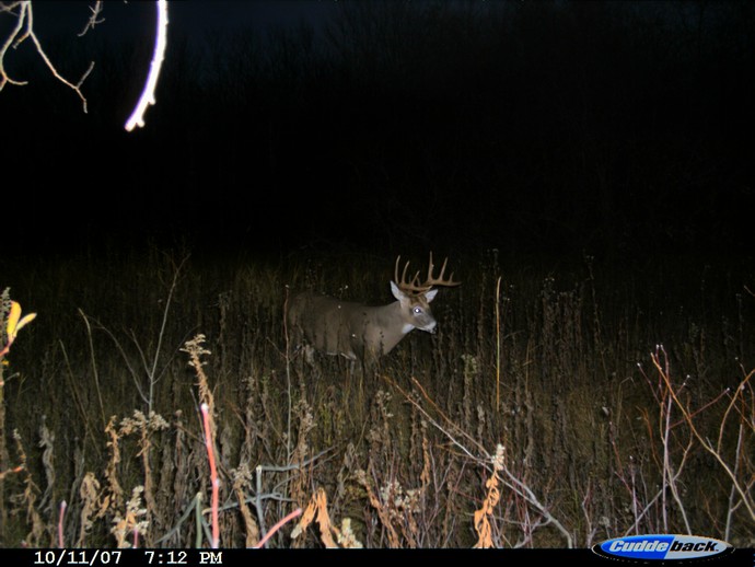 Trail Cam Photo