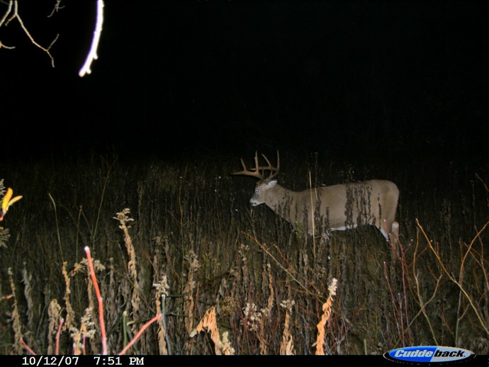 Trail Cam Photo