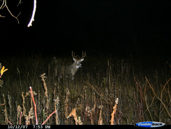 Trail Cam Photo