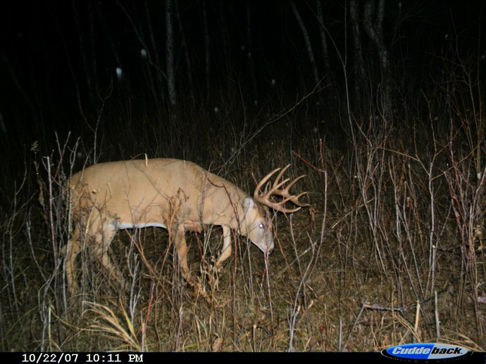 Trail Cam Photo