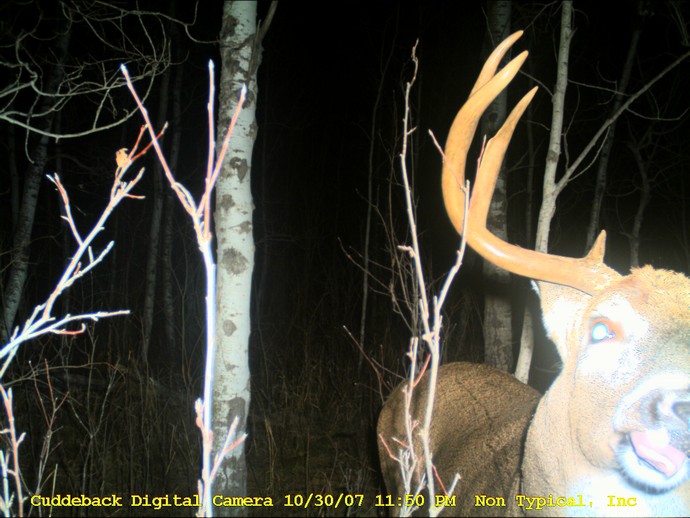 Trail Cam Photo